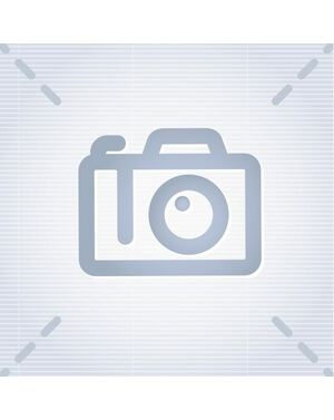 Сарай пластиковый Black Fox Summit 7,4м2