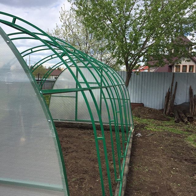 Теплица 